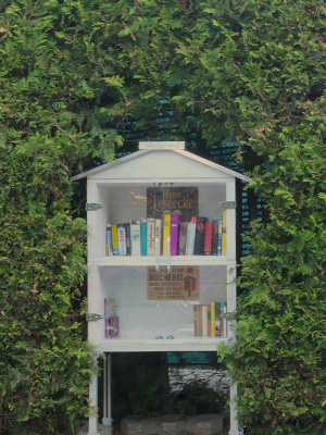 Büchertauschstation Nr. 241 - Ansicht 2